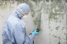 Trusted Malvern, PA Mold Remediation Experts